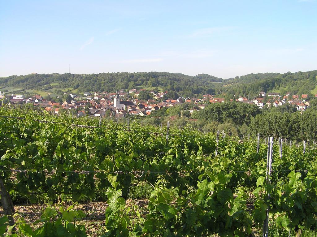 Ferienwohnung Am Alten Berg Ochsenfurt Ngoại thất bức ảnh