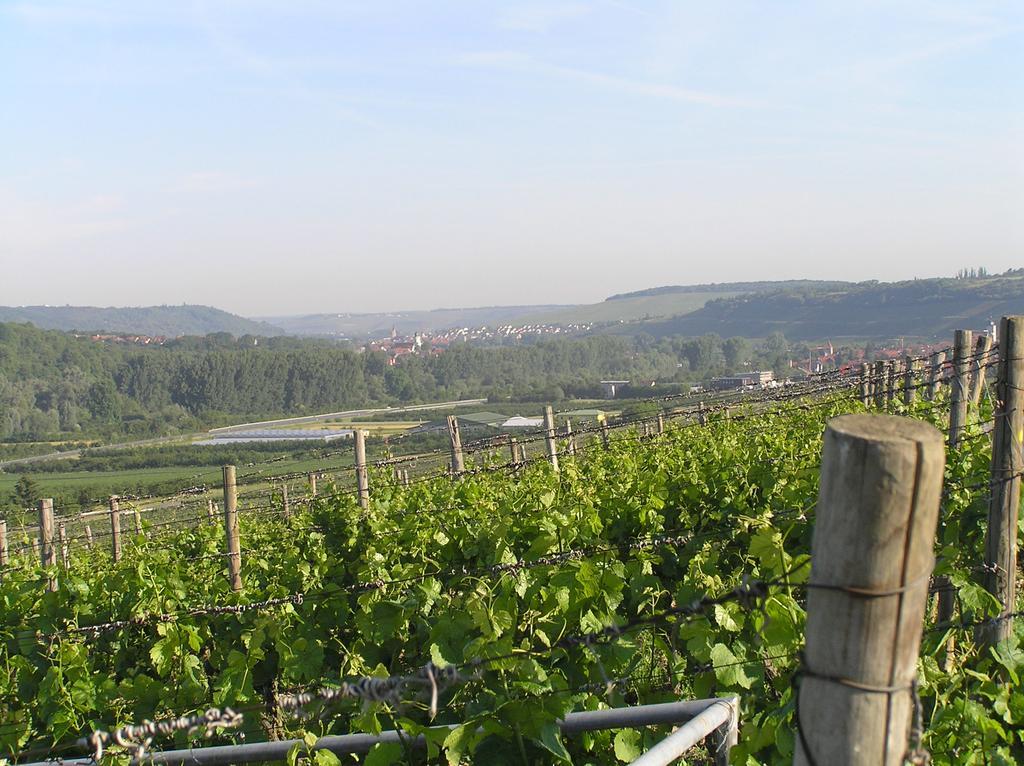 Ferienwohnung Am Alten Berg Ochsenfurt Ngoại thất bức ảnh
