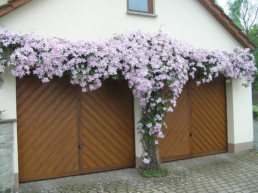 Ferienwohnung Am Alten Berg Ochsenfurt Ngoại thất bức ảnh
